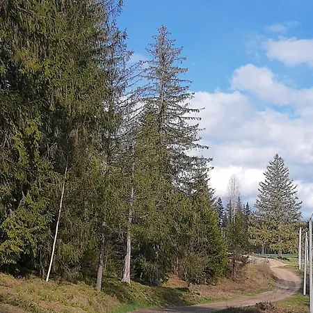 M * Mykulyčyn