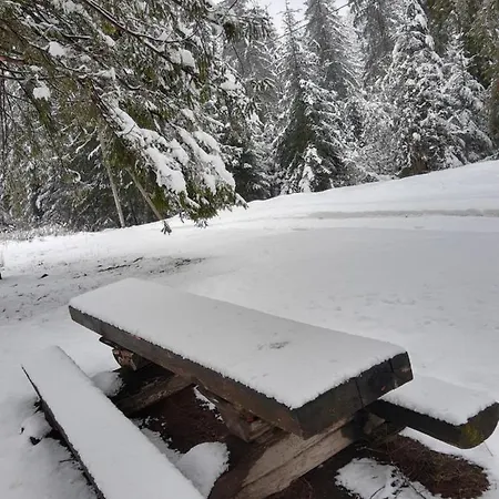 M * Микуличин