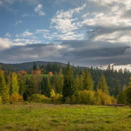 M Микуличин