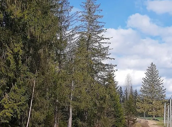 M * Mykulychyn