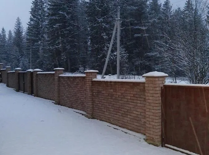 M * Mykulychyn