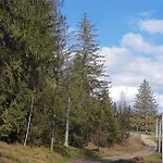 M * Mykulychyn