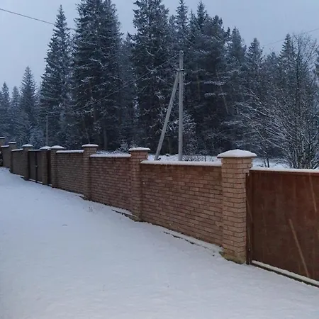 M * Mykulychyn